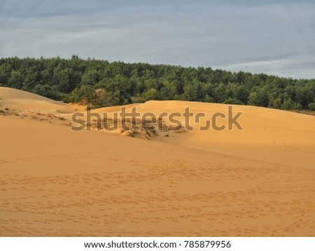 White sand dunes in vietnam View of the desert in summer For the holidays