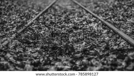 Black and white old train track with leaves on the ground.Autumn