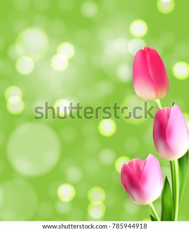 Spring and Summer Tulip Flower Natural Background. Vector Illustration EPS10
