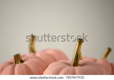 Blush pink pumpkins with gold stems on solid color background with copy space. Nontraditional fall, harvest and Thanksgiving theme.