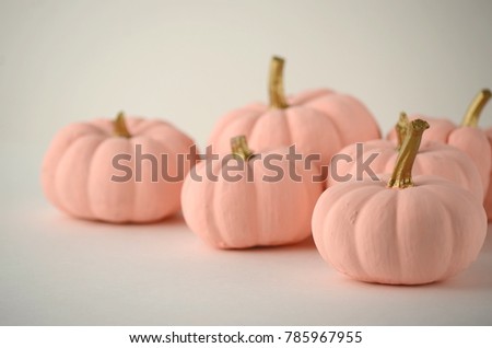 Blush pink pumpkins with gold stems on solid color background with copy space. Nontraditional fall, harvest and Thanksgiving theme.
