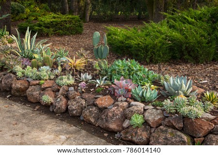 Drought resistant gardening using succulents, with rock border Royalty-Free Stock Photo #786014140