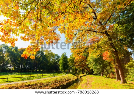 picture of a colorful park landscape in autumn