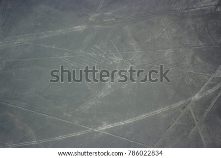 Aerial picture of the Bird figure at Nazca lines seen from the plane, Nazca lines, Peru