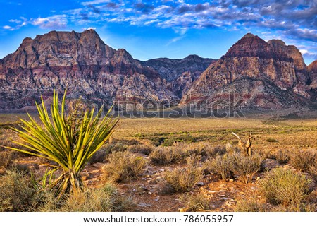 Sunrise at Red Rock Canyon in Nevada. Royalty-Free Stock Photo #786055957