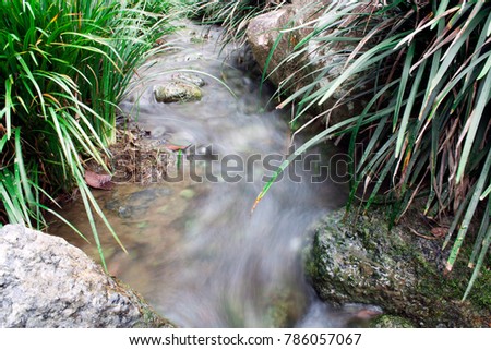 Forest creek with waterfalls. Water cascades over rocks. Clear water over the mountain river