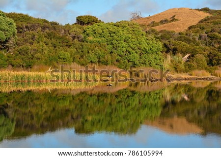 Kai Iwi Lakes reflection