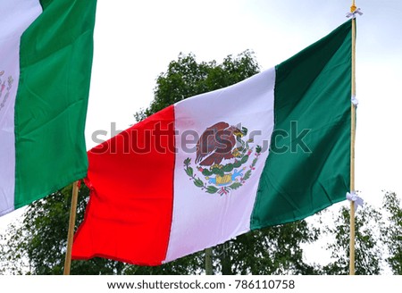 View of a Mexican flag