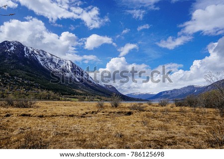                                Brown field with snowcapped mountain