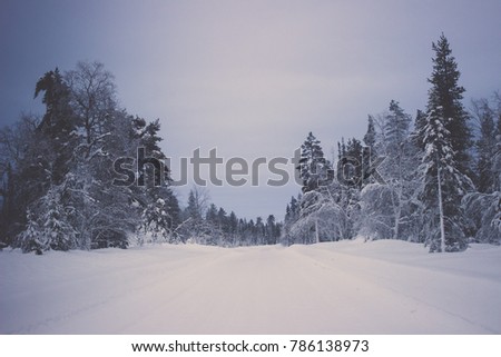 A road in the snow path with trees on both sides of the road in Finland.