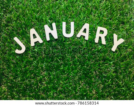 Image January, wooden alphabet January on green grass background with copy space for your text. Concept be used for calendar, month and background. Blur picture and exposure.