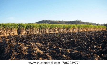 Preparation of soil for agriculture in rural areas.