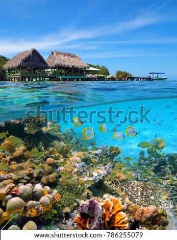 A tropical restaurant with thatched huts over the water and a thriving coral reef with fishes and a sea turtle underwater, Caribbean sea, Panama, Central America Royalty-Free Stock Photo #786255079