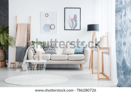 Paintings of cactus and hexagons hanging over a cozy sofa with many pillows standing next to a black lamp in living room interior Royalty-Free Stock Photo #786280726