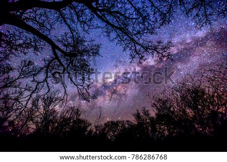 milky way in night time