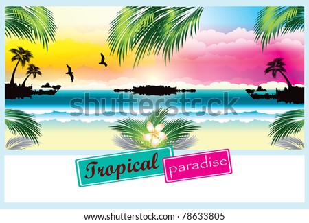 Tropical beach  postcard