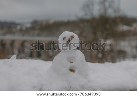 Small Snowman in Winter