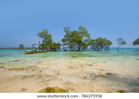 Stunning view of Havelock Island Beach, beautiful tree in the sea water,  Andaman & Nicobar Islands.