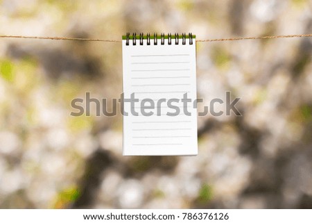 Blank paper notes with copy space pinned on rope 