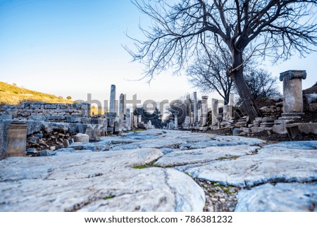 Marble road and columns at Ephesus ancient city