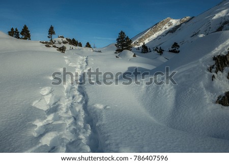Picture of a winter hike day in switzerland from Leukerbad to Kandersteg