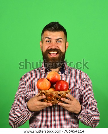 Farmer with cheerful face holds red apples. Gardening and fall crops concept. Man with beard holds wicker bowl with fruit isolated on green background. Guy presents homegrown harvest