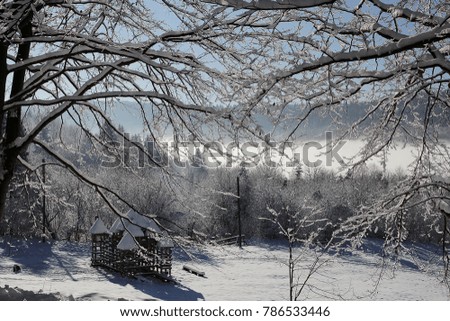Beautiful winter landscape of Ukrainian Carpathians with white forest covered with snow, horizontal winter outdoor, no people, selective focus