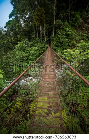 Hanging bridge in Panama