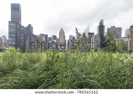 Grass to cityscape
