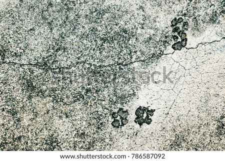 Dog footprint on cement floor.