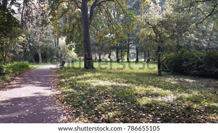 Beautiful autumn landscape with trees in the city park