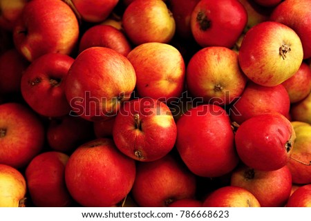 apples on display stock photo