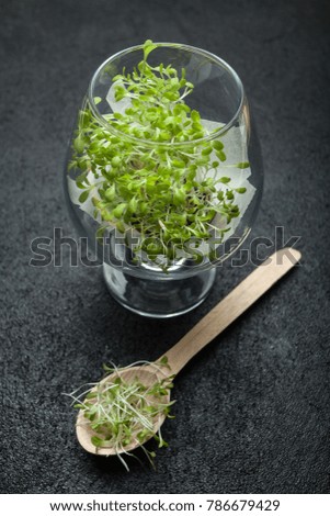 Organic micro-green in a glass and spoon on a black background. Detoxification of the body, a healthy lifestyle.