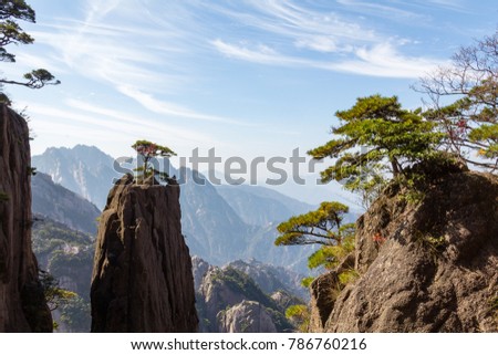 Solitary tree in the Grand Canyon of the West Sea on Mt Huangshan (Yellow Mountain), Anhui, China. Mount Huangshan is one of the most famous of China, and has inspired hundreds of poets and painters Royalty-Free Stock Photo #786760216