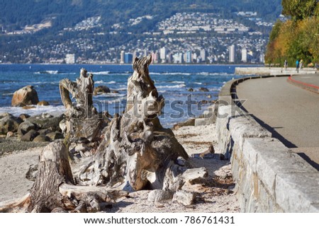 Driftwood and the seawall waterfront path along Stanley Park forest in Vancouver - view to West Vancouver