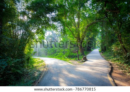 Crossroads, two different directions, concept of choose the correct way. Royalty-Free Stock Photo #786770815