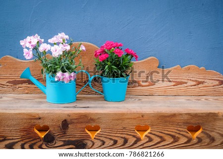 The couple of blue flowerpot on wooden shelf concept for lovely growing together