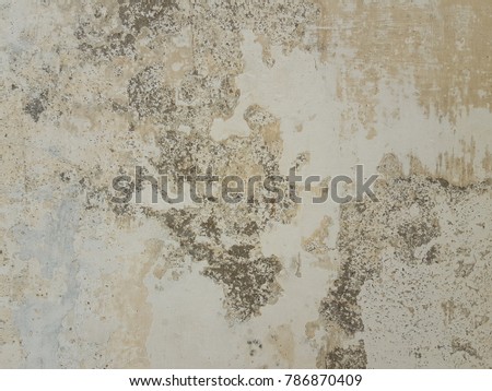 stone texture from stonework