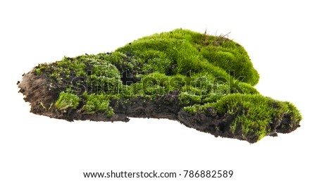 moss isolated on white background Royalty-Free Stock Photo #786882589
