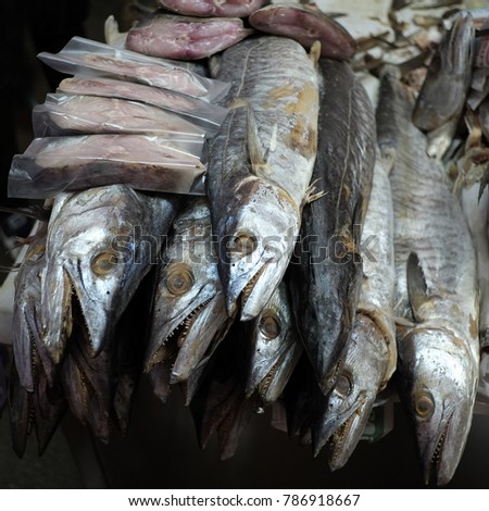 Rare sea fish Great food in the market., 
Protein from the sea , material from the seafood