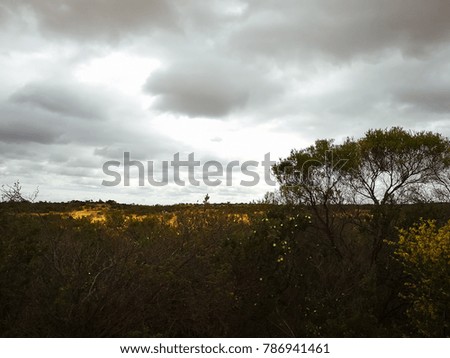 The Pinnacles desert during winter in Western Australia.