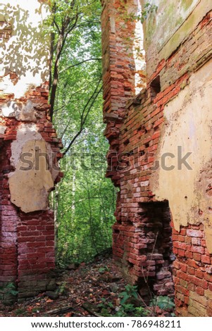 Passage between the old walls.
The ruins of an ancient monastery in a thicket of wild forest.