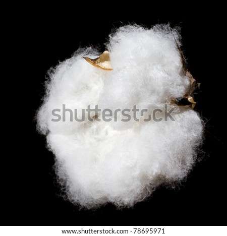 white cotton bowl that's pictured on a black background