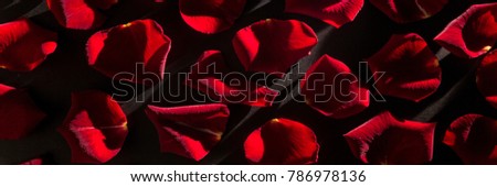 Multiple red petals