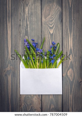 Old dark wood and a gentle spring bouquet of woodlands. Spring Easter card