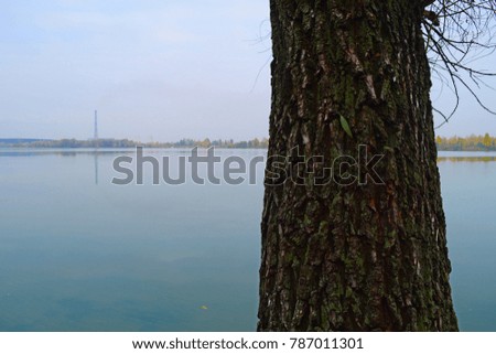 The view through the tree on the right side of the lake
