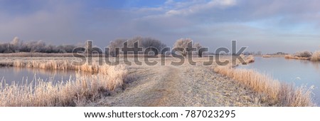A frozen landscape just north of Amsterdam in The Netherlands photographed in early morning sunlight.