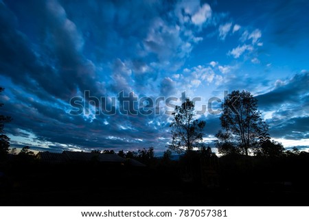 Dramatic blue cloud in the sky with tree 