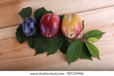 Plums on table. Different color ripe plums