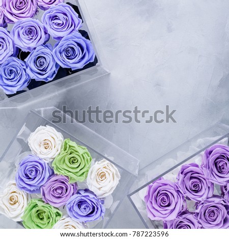 roses on a white background in a square box